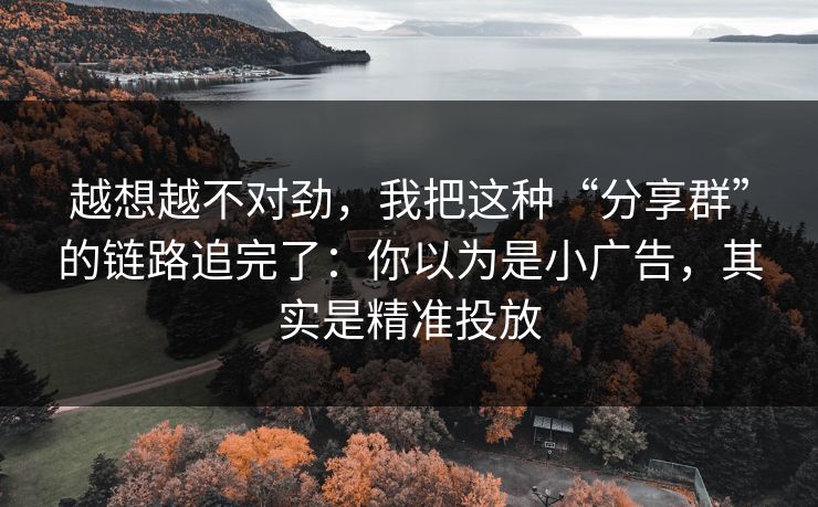 越想越不对劲，我把这种“分享群”的链路追完了：你以为是小广告，其实是精准投放