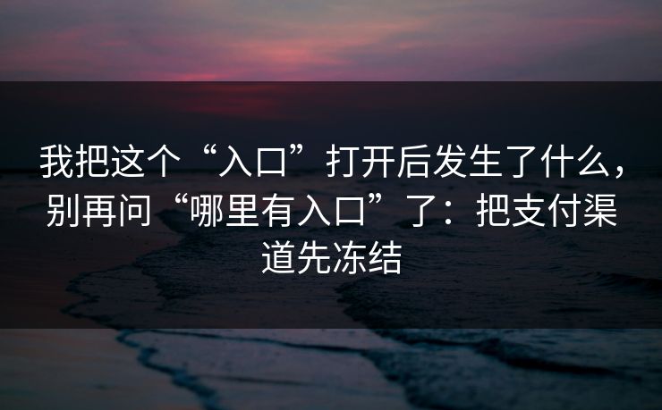 我把这个“入口”打开后发生了什么，别再问“哪里有入口”了：把支付渠道先冻结