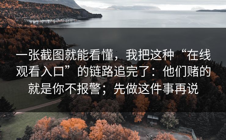 一张截图就能看懂，我把这种“在线观看入口”的链路追完了：他们赌的就是你不报警；先做这件事再说