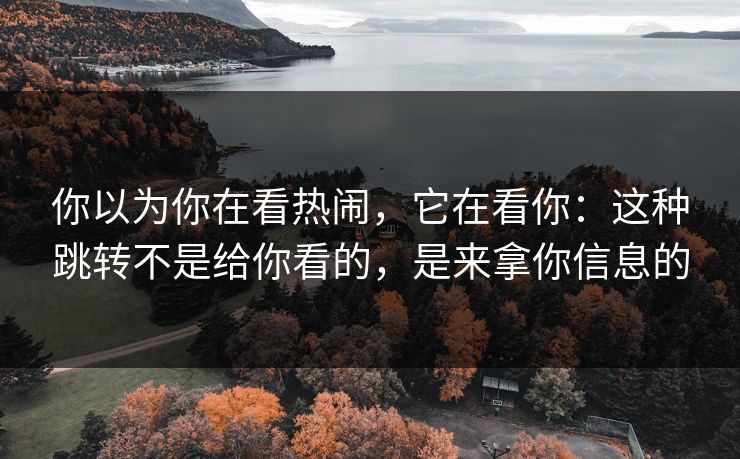 你以为你在看热闹，它在看你：这种跳转不是给你看的，是来拿你信息的