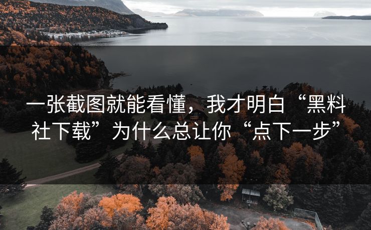 一张截图就能看懂，我才明白“黑料社下载”为什么总让你“点下一步”