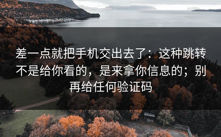 差一点就把手机交出去了：这种跳转不是给你看的，是来拿你信息的；别再给任何验证码
