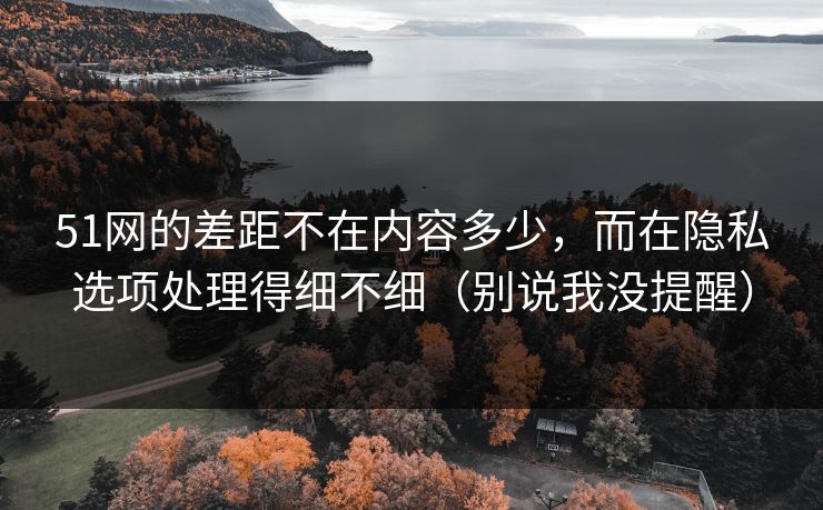 51网的差距不在内容多少，而在隐私选项处理得细不细（别说我没提醒）